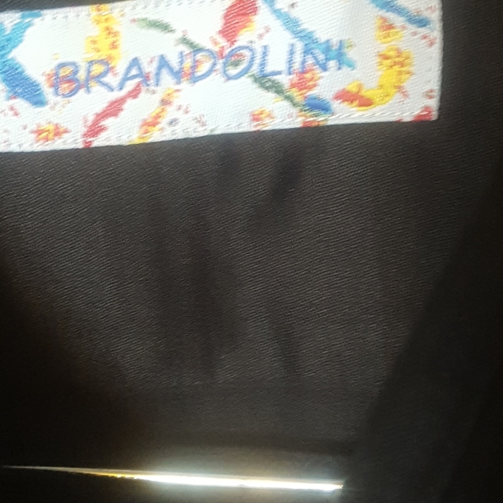 Dressy (silky) shirt (Brandolini)